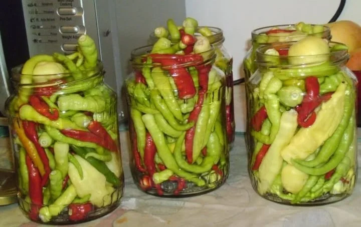 Ecetes paprika üvegben, ízletes és savanyú köret salátákhoz